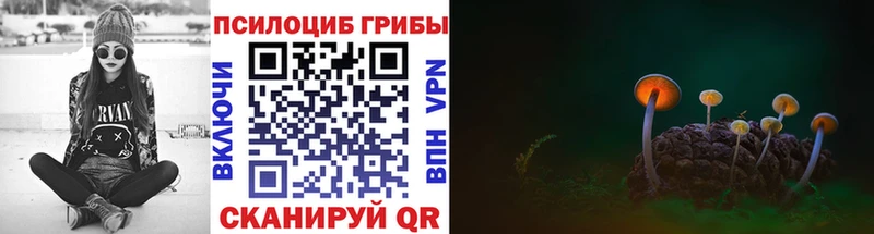 Галлюциногенные грибы Magic Shrooms  закладка  МЕГА   Горячеводский 